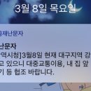 대구 강설 문자왔어 이미지