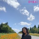 숲섬이라면 | [제주도] 구두미포구, 우연히 만난 유채꽃 드라이브 코스, 숲섬이라면 메뉴 후기