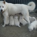 대웅농장 이미지