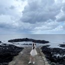 9월 셋째주 주간일기