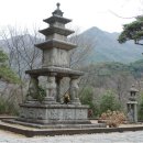 무진당 조정육 선생의 부처님의 상징 塔 이미지