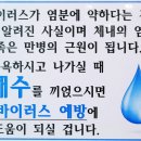 영도해수랜드 이미지