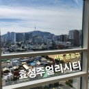 서울 종로구 효성주얼리시티 아파트 유리창 외창 청소 후기 (feat. 커튼월 시스템창)