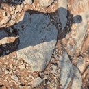 검단산 관광안내소 | 검단산 등산코스 및 후기｜주차부터 정상까지 완벽 가이드