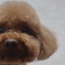 컴피 화명점 이미지