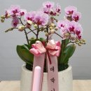 수유리혼밥왕(당진유곡점)