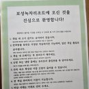 [보성 녹차 리조트] 2박 3일 보성 여행 후기🌿