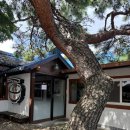 원조중원탑막국수(충북도청점) | 청주 맛집 내돈내산 '원조중원탑막국수 충북도청점' 직장인 점심추천✔️