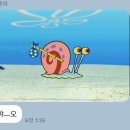 비비홀덤 - 북구 노원로 46 | 비비홀덤