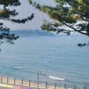 쉼표고성 이미지