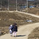 인우목장 이미지