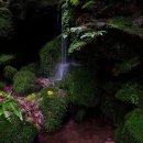 계곡이 있는 풍경 이미지