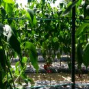 경재농장 이미지