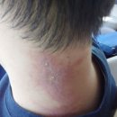 석동정형외과연합의원 이미지