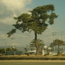 봉산로터리(안성시청) 이미지