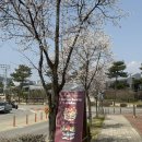 내포 위아영 케이크에서 도시락 케이크 주문 제작