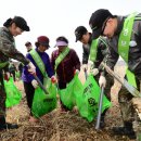 금수강산 이미지