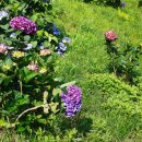 산수유자연휴양림 이미지