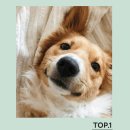 세영 | 부산 책자 인쇄, 디지털인쇄 + 후가공까지 한 번에! 세영애드 솔직 후기