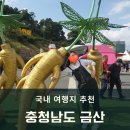 금산종합운동장 | 금강힐링여행:: 단돈 2만원으로 금산 웰니스 로컬여행하기