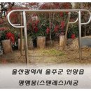 대륙산업(주) 이미지