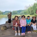 천변3호 이미지