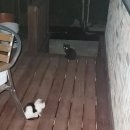 우럭한마리 이미지