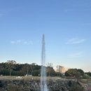 태화강국가정원 | 울산 아이랑 가볼만한 곳 태화강국가정원 관람차 탑승 후기