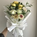 포엠플레르 이미지