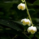 나래목장 이미지