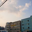 새소망고시원