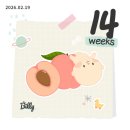 잠실준25시동물병원 | 임신 14주 일상 / 니프티 검사 결과 젠더리빌 아랫배 오른쪽 통증 배땡김 증상