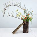 자연꽃예술원