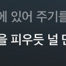 사막에서 꽃을 피우듯 이미지