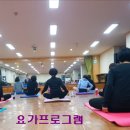 (야)댄스스포츠 이미지