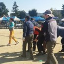 용문초등학교 이미지