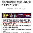 현재 ㅈ됐다는 공유킥보드 업계 근황 이미지