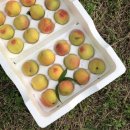 구천농장 이미지