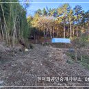 경남고성부동산 경남고성농막매매- 영현면 숲속 농막과 하우스가 있는 자연인 임야토지매매 9795제곱미터(2968) 이미지