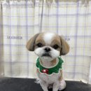 탱스땡스 이미지