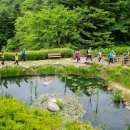 장수전력 이미지