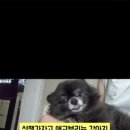마동근린공원산책로 이미지