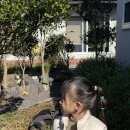 명진목장 이미지