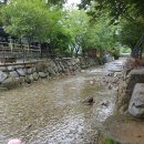 주록리계곡 루돌프 | 아이들과여행 | 여주 금사면 | 주록리계곡 루돌프