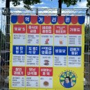 볼거리, 살거리가 넘쳤던 2024 곡성 세계장미축제 찐후기 feat.동행축제, 색감깡패장미