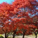 배다리낚시터 이미지