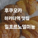 미뇽 이미지