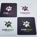 디자인몰 이미지