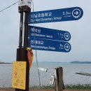 가계보건진료소 티스토리