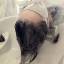 프리티헤어샵 이미지